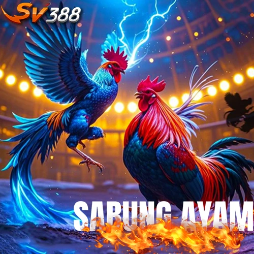 SV388 Situs Sabung Ayam Online Terpercaya Link Sv388 Wala Meron - WooCommerce eCommerce